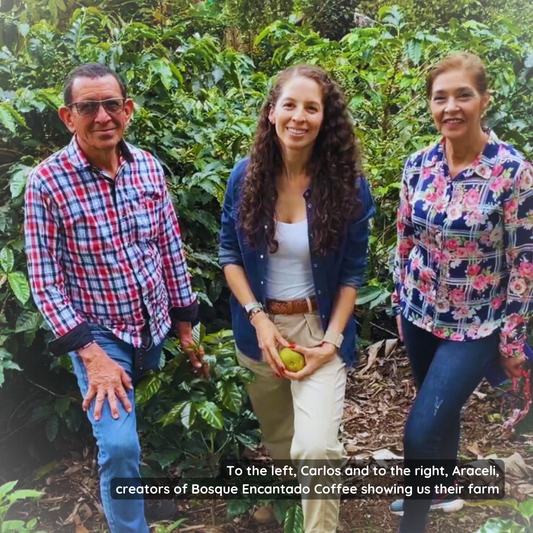 Bosque Encantado Coffee
