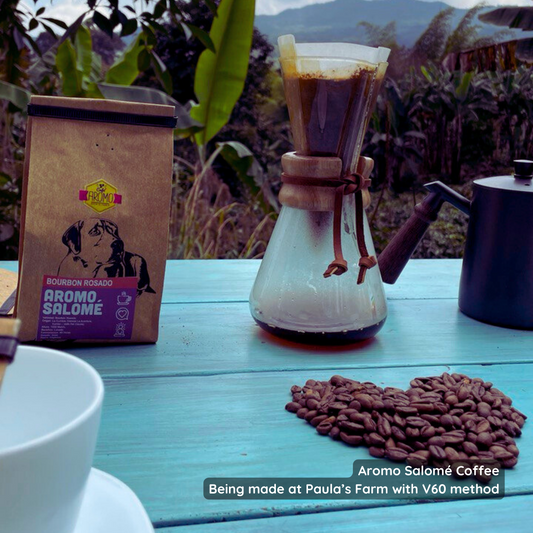 Aromo Coffee - Salomé