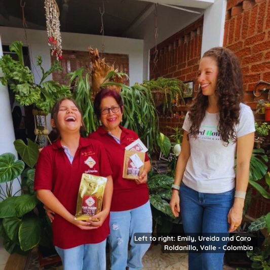 Buy Specialty Exotic Colombian Premium Coffee