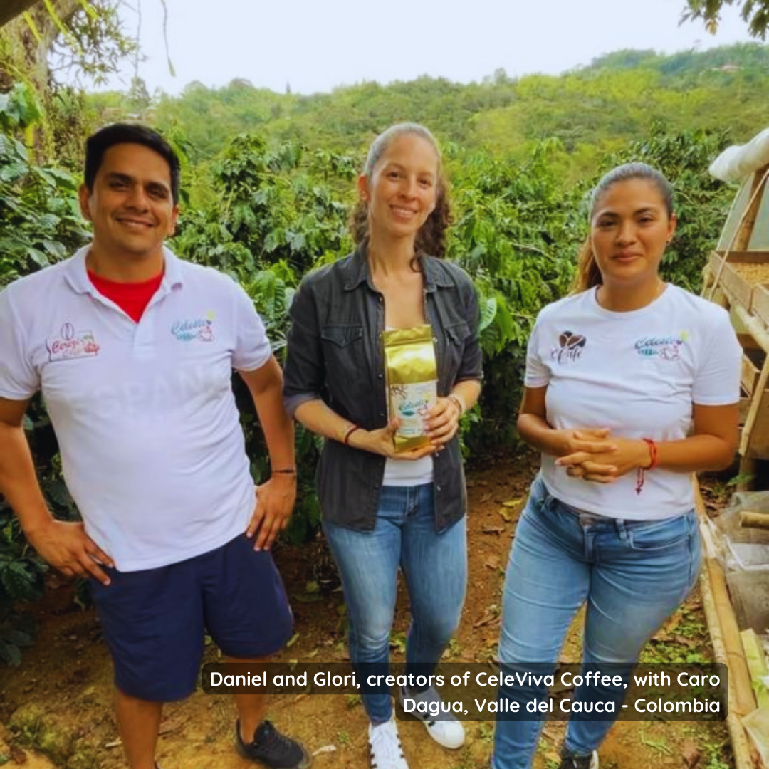 Buy Specialty Exotic Colombian Premium Coffee