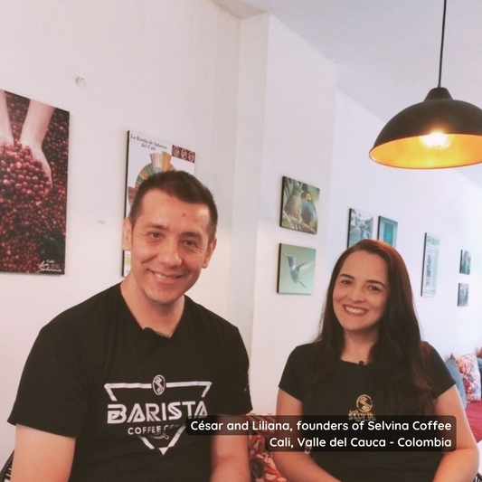 Buy Specialty Exotic Colombian Premium Coffee